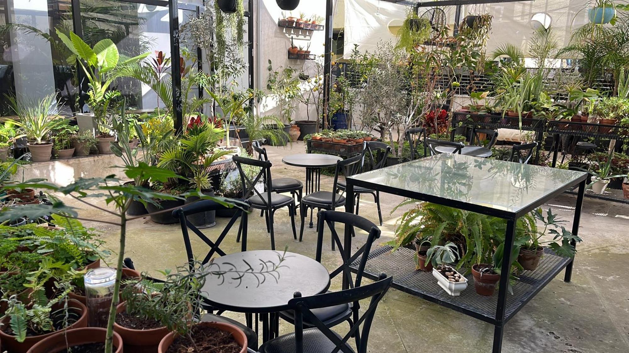 Yona 8 Bed & Breakfast Tel Aviv Luaran gambar