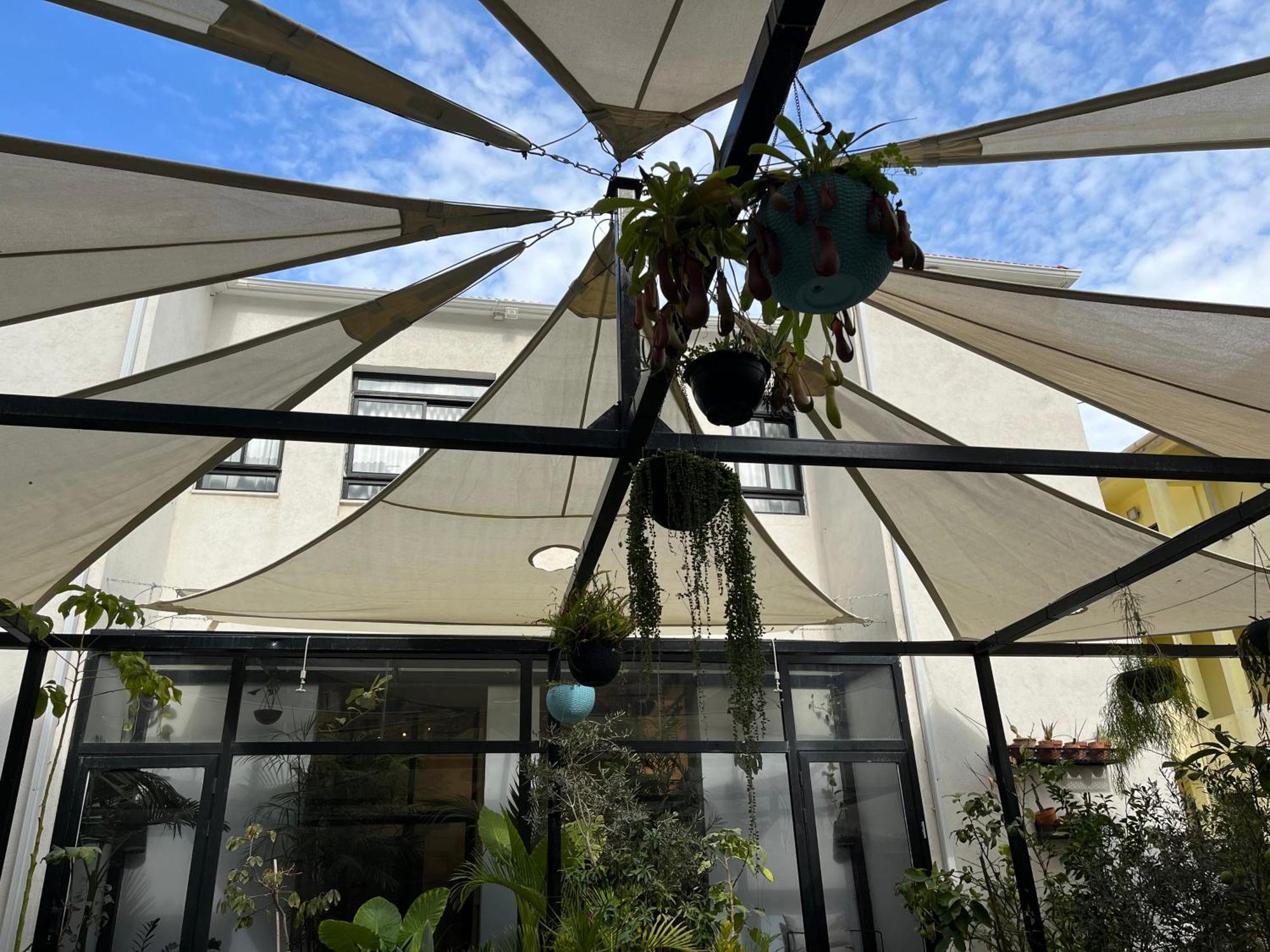 Yona 8 Bed & Breakfast Tel Aviv Luaran gambar